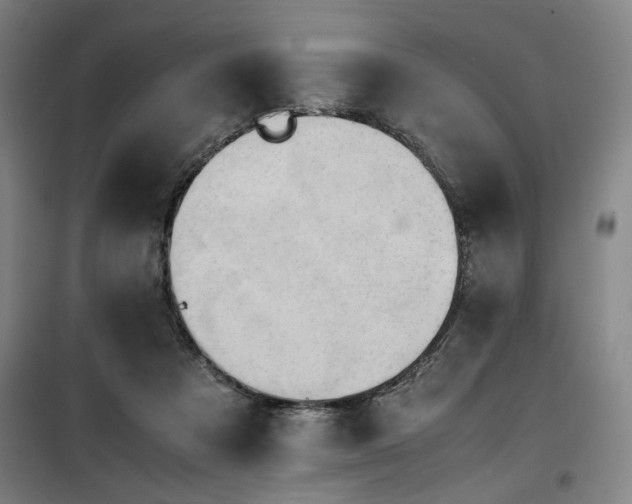 X0000100190313200805301253