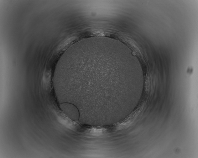 X0000100190314200805301253