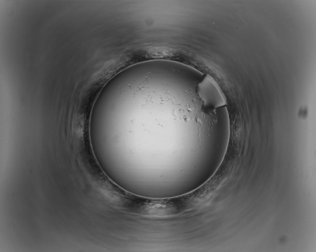X0000100190315200805301253