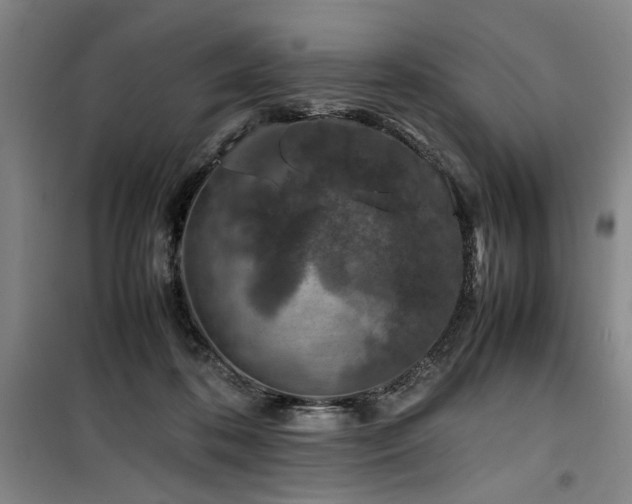 X0000100190316200805301253