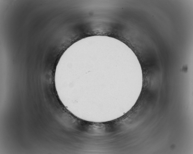 X0000100190317200805301253