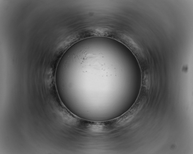X0000100190318200805301253