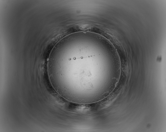X0000100190319200805301253