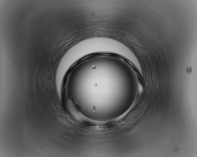 X0000100190320200805301253
