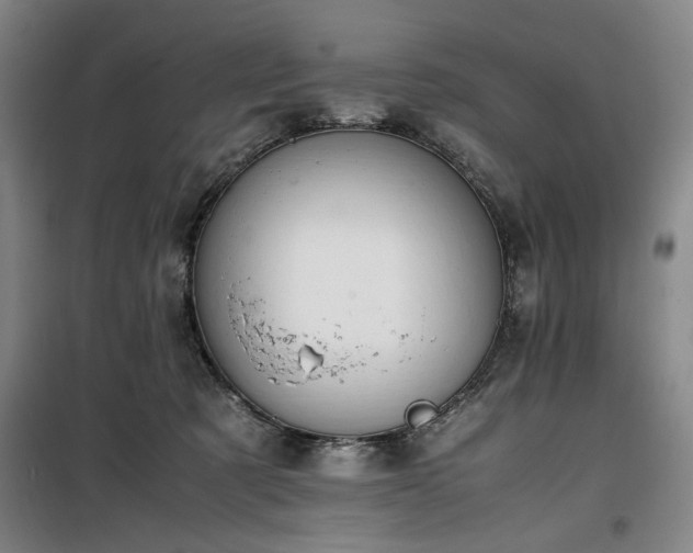 X0000100190321200805301253