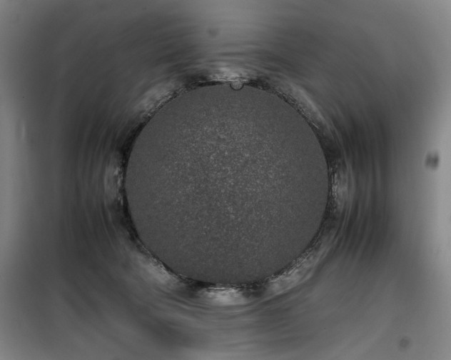 X0000100190322200805301253