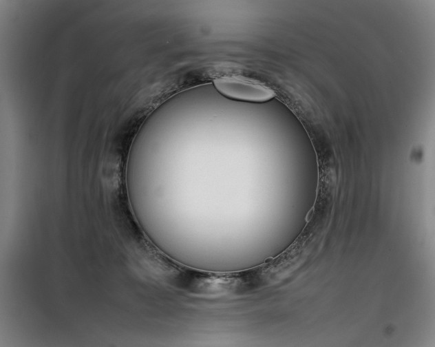 X0000100190323200805301253