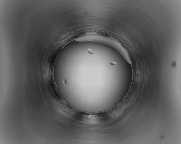 X0000100190324200805301253
