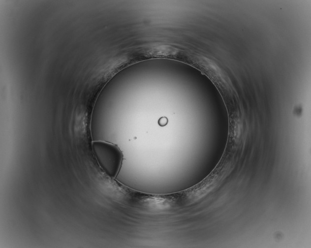 X0000100190326200805301253