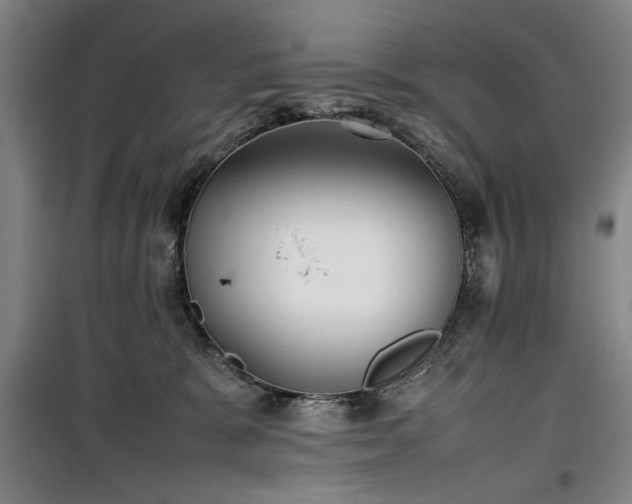 X0000100190327200805301253
