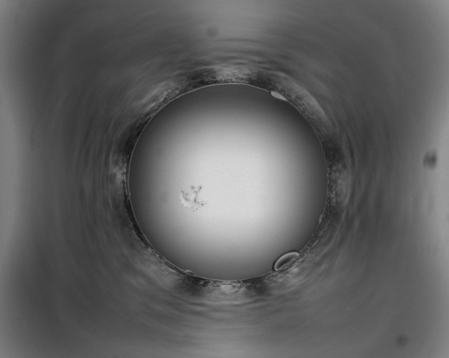 X0000100190329200805301253