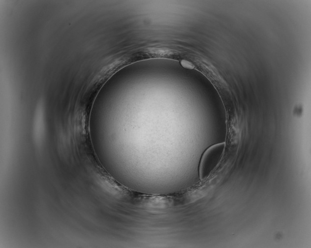 X0000100190330200805301253