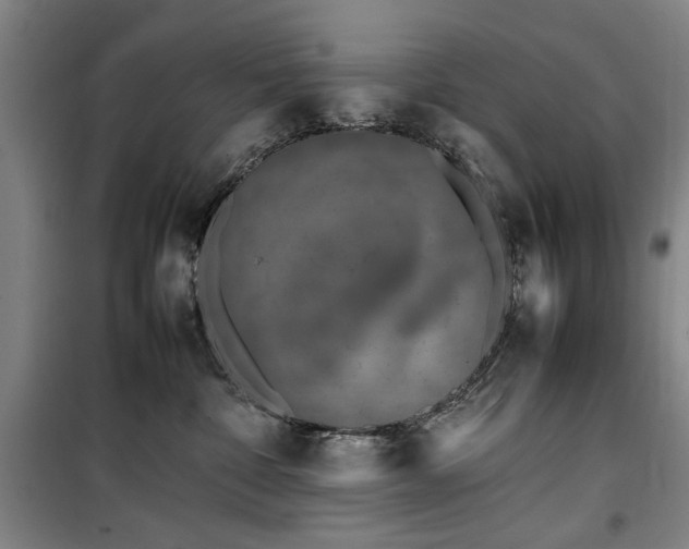 X0000100190332200805301253