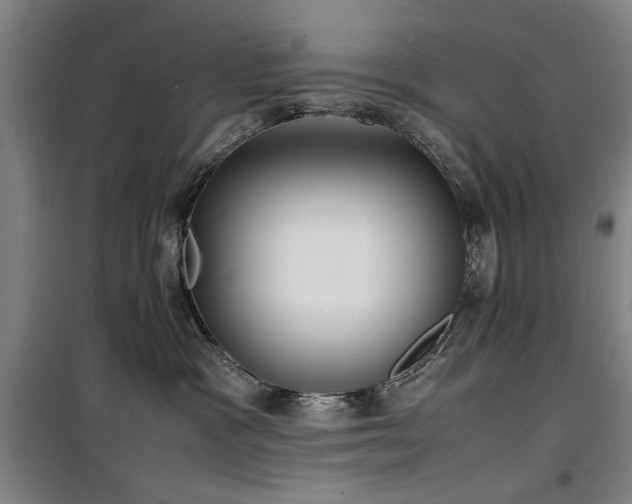 X0000100190333200805301253