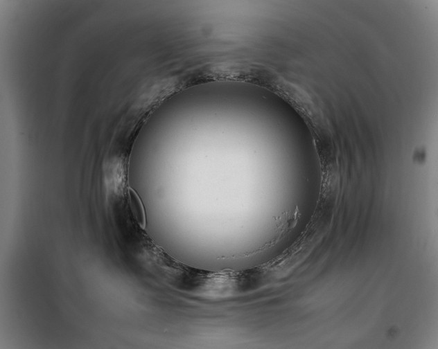 X0000100190335200805301253