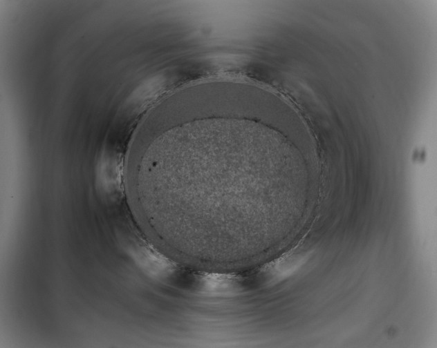 X0000100190336200805301253