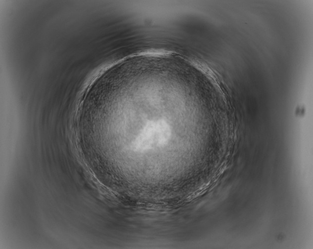 X0000100190337200805301252