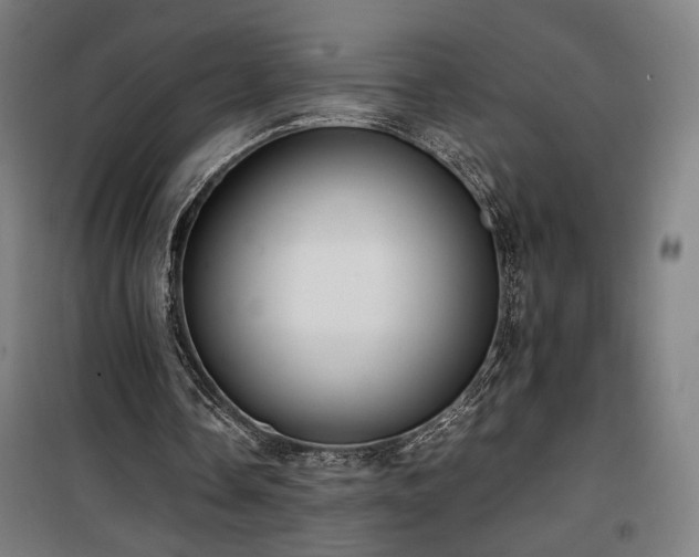 X0000100190338200805301252