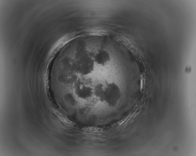 X0000100190339200805301252