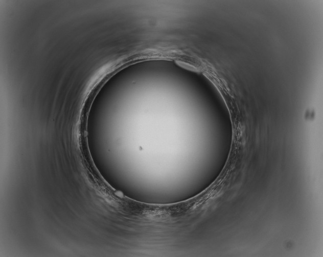 X0000100190340200805301252