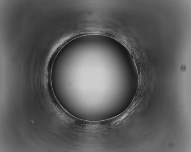 X0000100190342200805301252