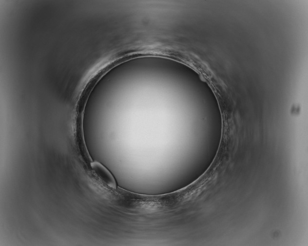 X0000100190344200805301252