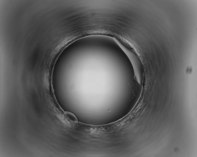 X0000100190345200805301252