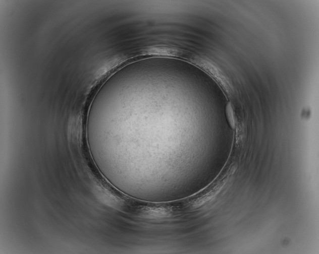 X0000100190349200805301252