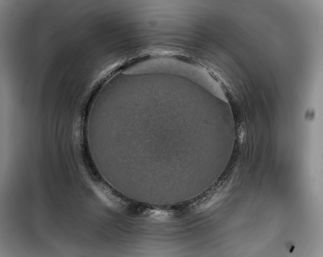 X0000100190352200805301252