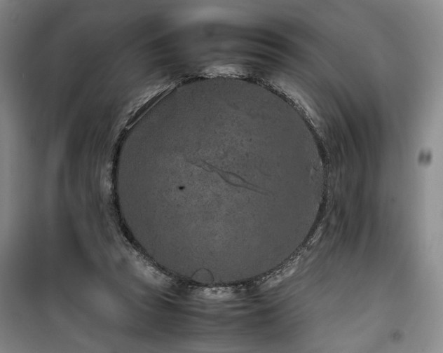 X0000100190353200805301252