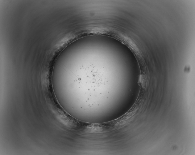 X0000100190354200805301252
