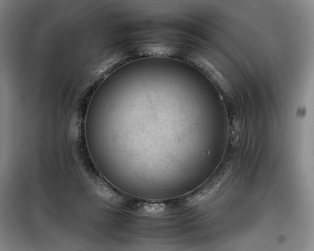 X0000100190355200805301252