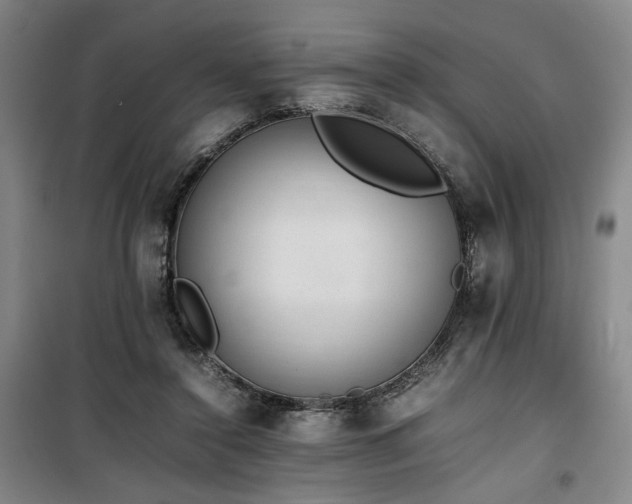 X0000100190356200805301252