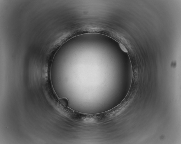 X0000100190358200805301252