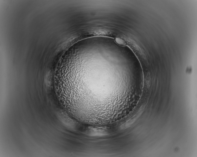 X0000100190359200805301252
