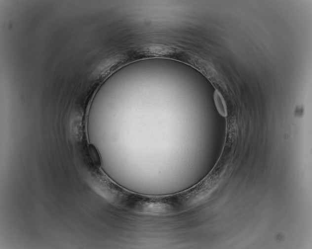 X0000100190360200805301252