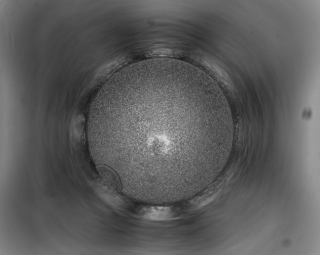 X0000100190361200805301253