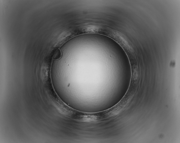 X0000100190363200805301253