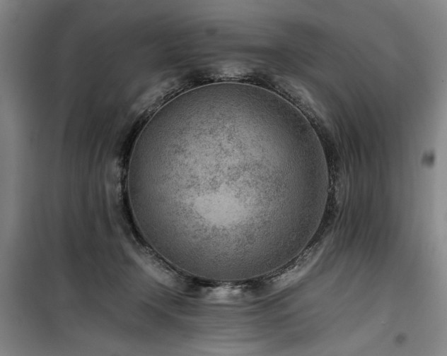 X0000100190366200805301253