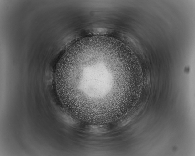 X0000100190367200805301253