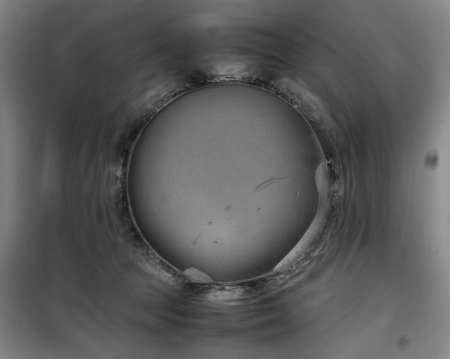 X0000100190369200805301253