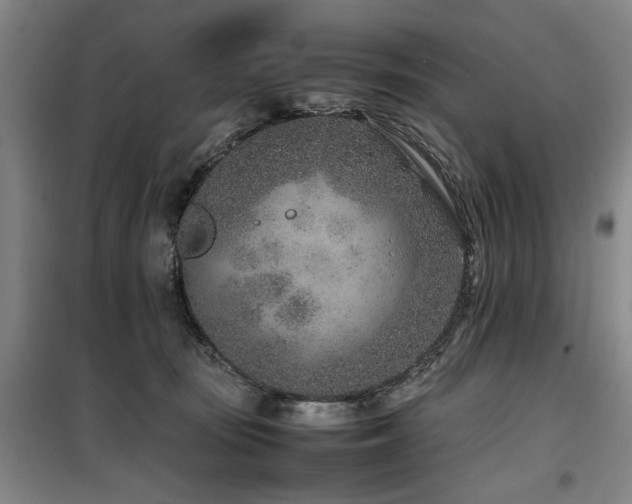 X0000100190371200805301253