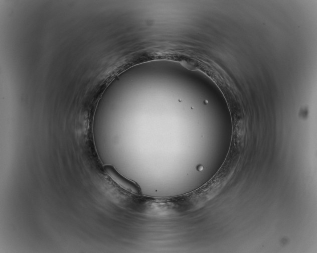 X0000100190372200805301253