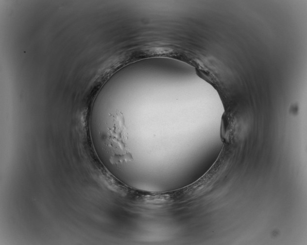 X0000100190373200805301253