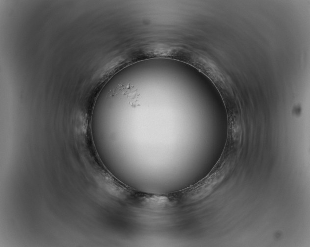 X0000100190374200805301253