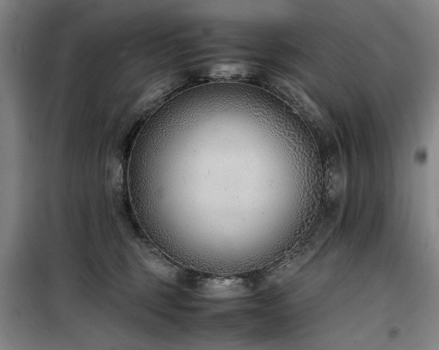 X0000100190375200805301253