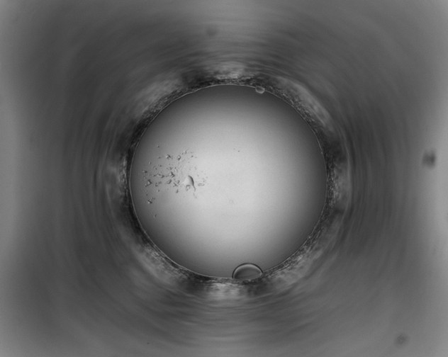 X0000100190376200805301253