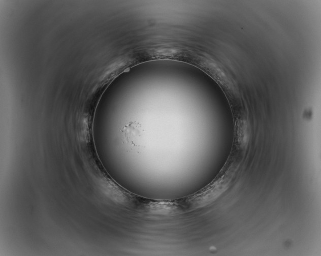 X0000100190378200805301253