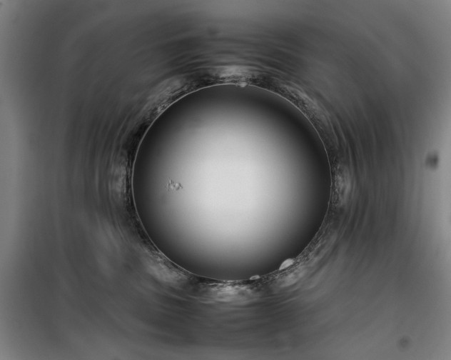 X0000100190379200805301253