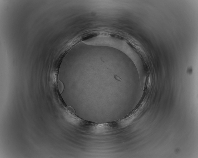 X0000100190382200805301253